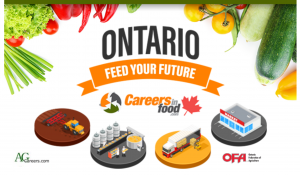 Ontario Feed Your Future Employer Toolkit