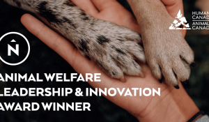 Northern receives award for charitable partnership with Humane Society