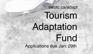 Tourism Adaptation Fund in Ontario’s Southwest 