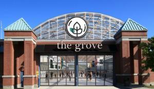 Growing The Grove