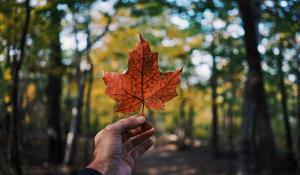 The Jobs and Growth Fund: Supporting Canadian Businesses in Economic Growth