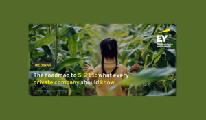 EY Webinar: The roadmap to S-211: what every private company should know