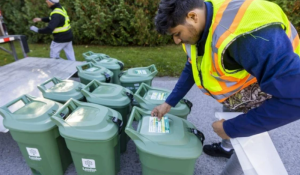 What you need to know as London's green bin program finally launches