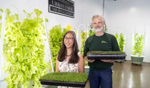 Urban farm taking root to honour Nathan Deslippe's legacy: 'Wonderful'