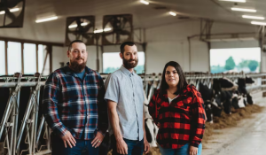 Nanaimo bar, butter tart: London dairy farm celebrates Canada with new gelato flavours